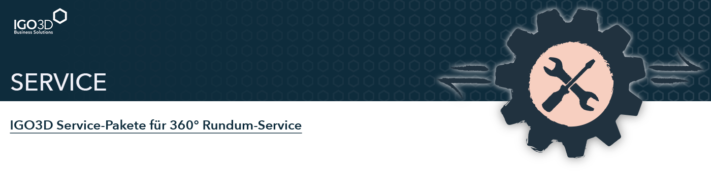 igo3d-service-header-banner