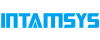 Intamsys Technology