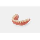 Formlabs Denture Teeth Resin