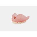 Formlabs Denture Teeth Resin B2