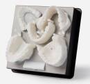 Résine blanche Formlabs V4 pour Form 3, 5 000 ml