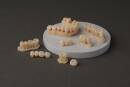 Formlabs Premium Teeth HT Resin