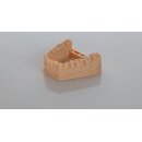 BASF Ultracur3D DM2505 Dental Resin